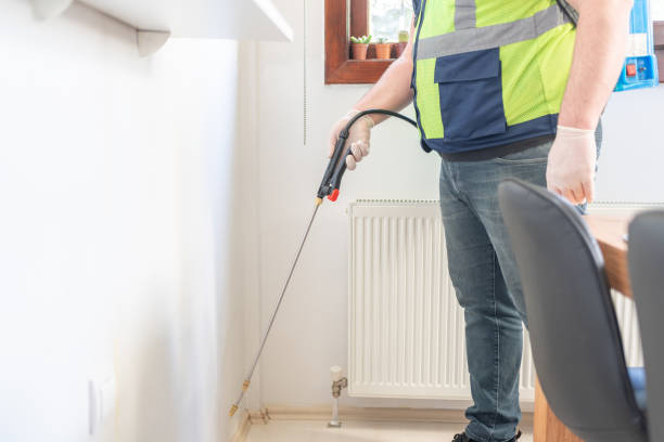 Best Termite Control Services  in Arta, CA