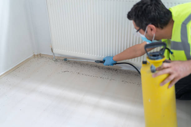 Best Affordable Pest Control Services  in Arta, CA